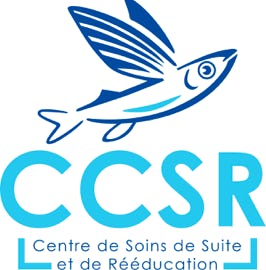 ccsr logo pascal benoit