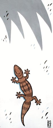 gecko pascal benoit