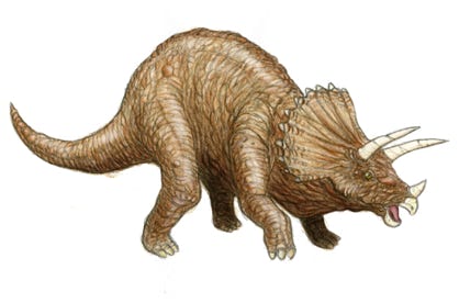 triceratops pascal benoit